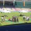 IMG_3252